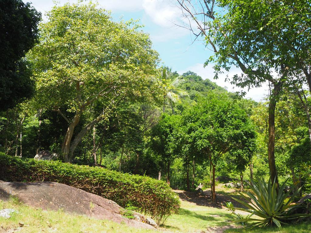 קו טאו Ao Muong Beach Resort מראה חיצוני תמונה
